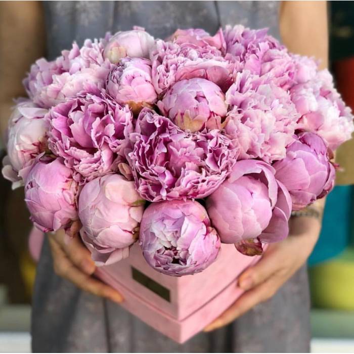 Коробка цветов в виде сердца, 31 розовый пион R770